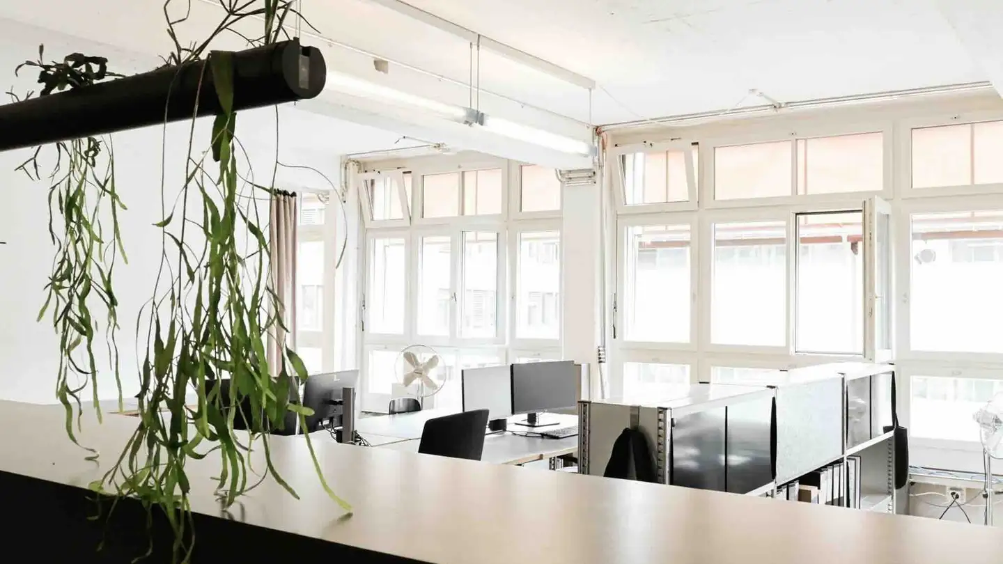 Office space for rent - 8045 Zürich