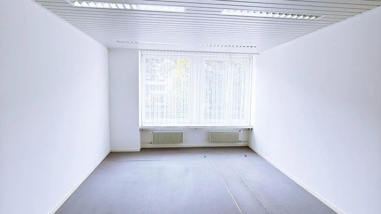 Commerciale in affitto - Aeschengraben 13, 4051 Basel