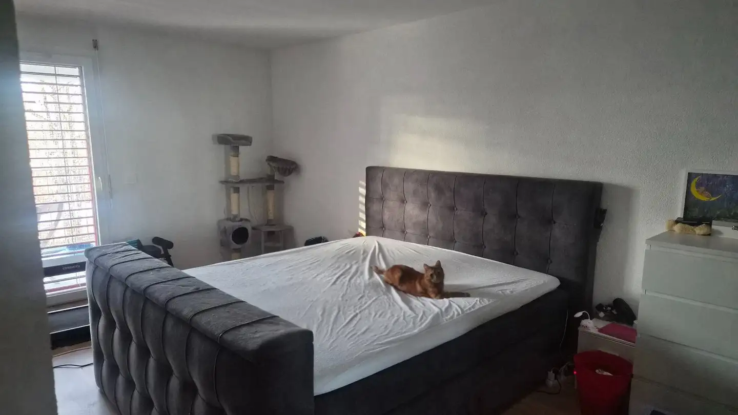 Wohnung mieten - 1264 St-Cergue - Foto 2