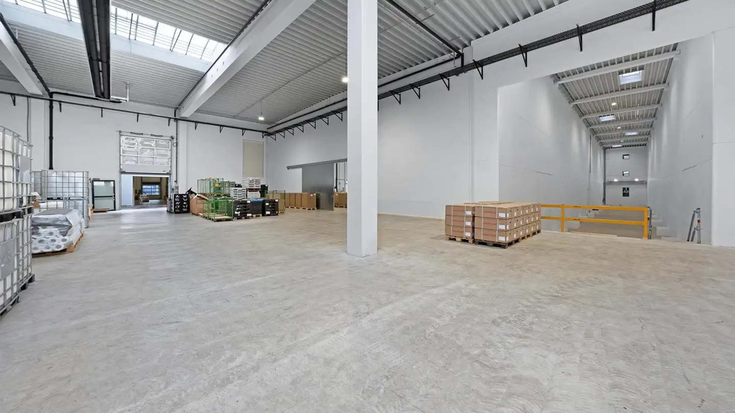 Proprietà industriale in affitto - Widenstrasse, 9464 Rüthi (Rheintal)