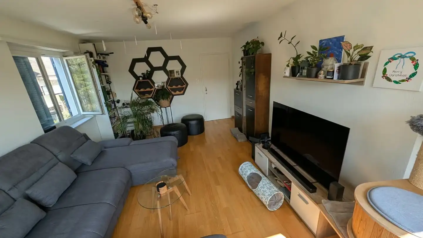 Appartement à louer - Haberweidstrasse 4, 8610 Uster - Photo 3