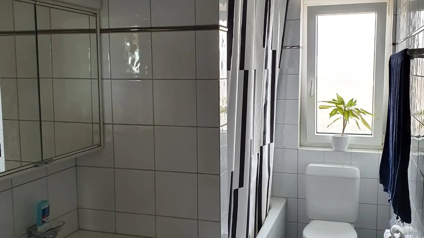 Apartment for rent - 8802 Kilchberg ZH - Photo 3