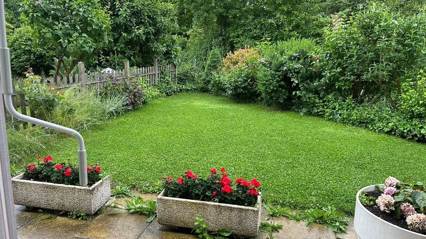 Appartement à louer - Rooswiesenstrasse 25, 8155 Niederhasli - Photo 4