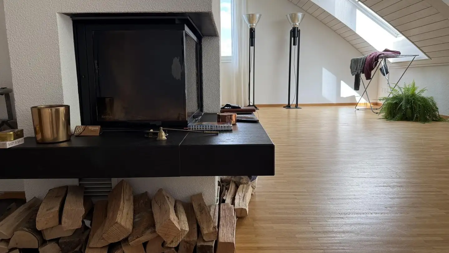 Appartement à louer - 8800 Thalwil