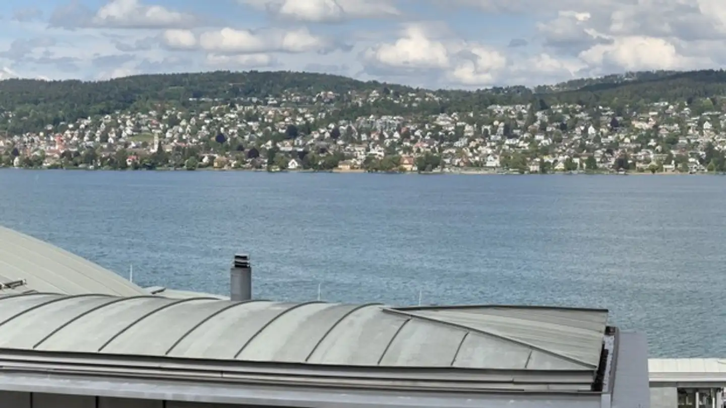 Appartement à louer - 8800 Thalwil - Photo 2