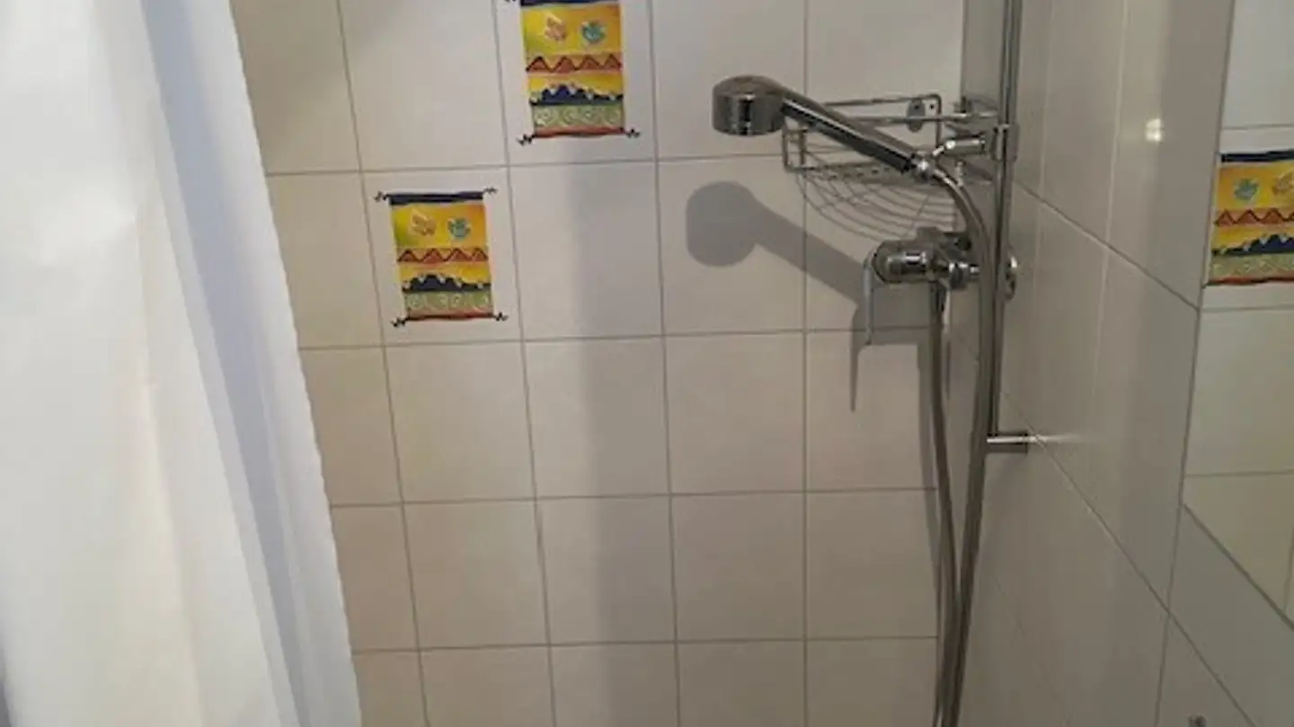 Stanza singola in affitto - 5072 Oeschgen - Foto 2