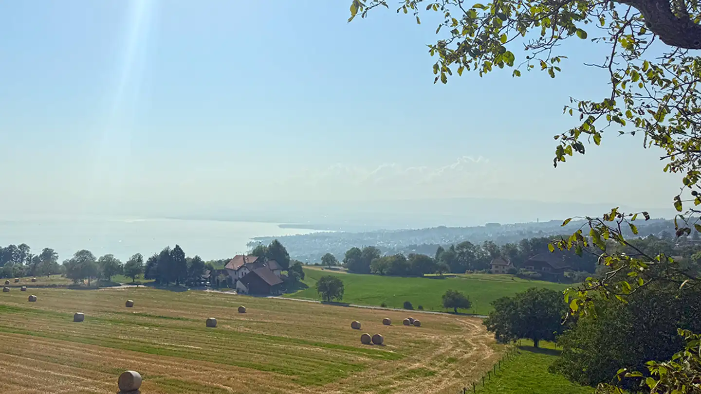 Apartment for sale - 1071 Rivaz