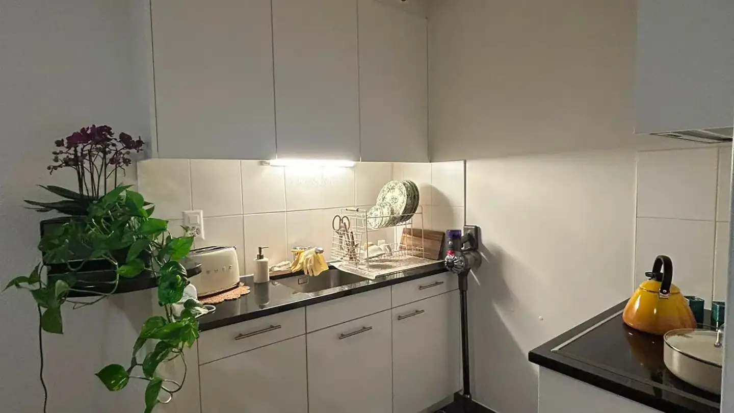 Apartment for rent - Rue Du Mont-De-Sion, 1206 Genève - Photo 4