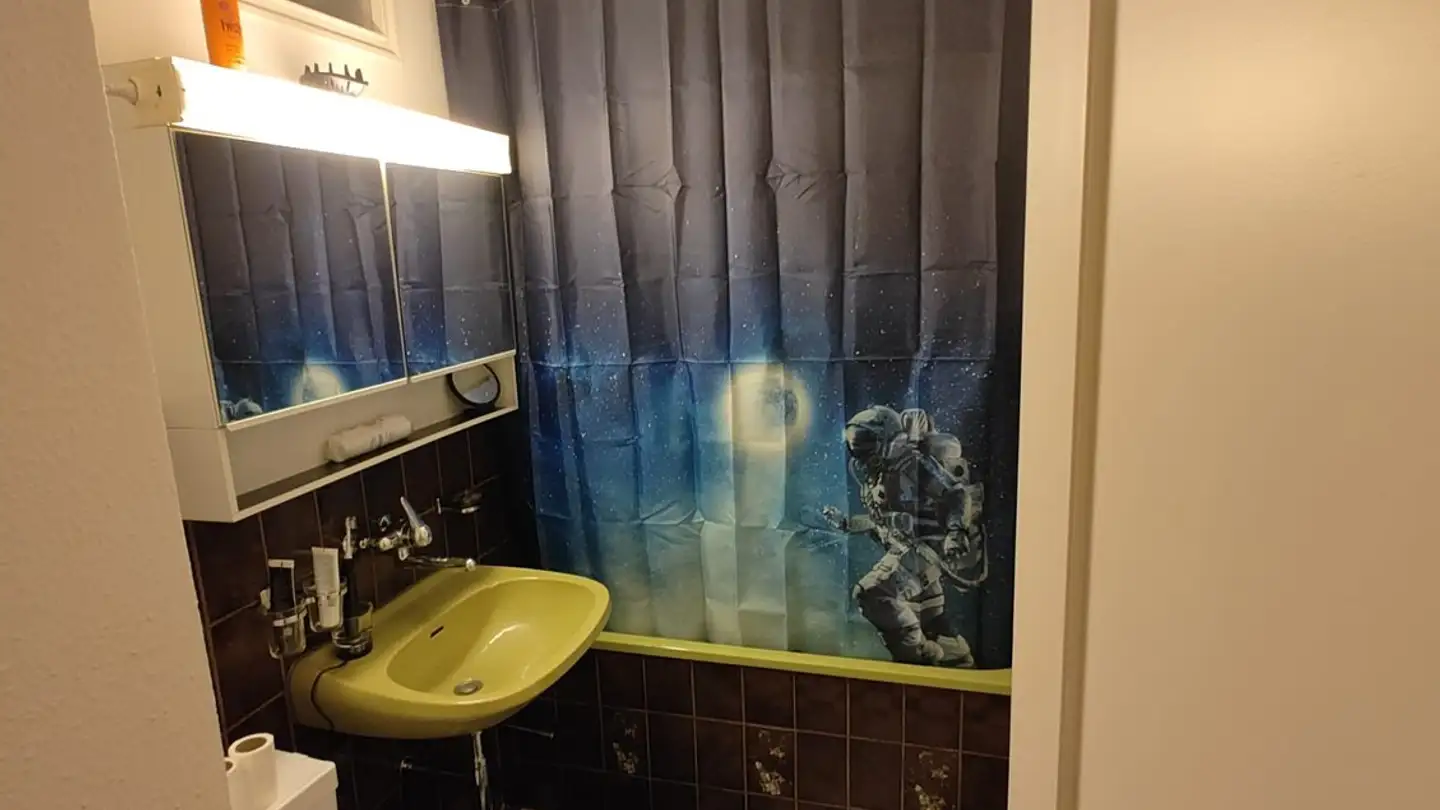 Appartement à louer - Riedenhaldensteig 5, 8046 Zürich