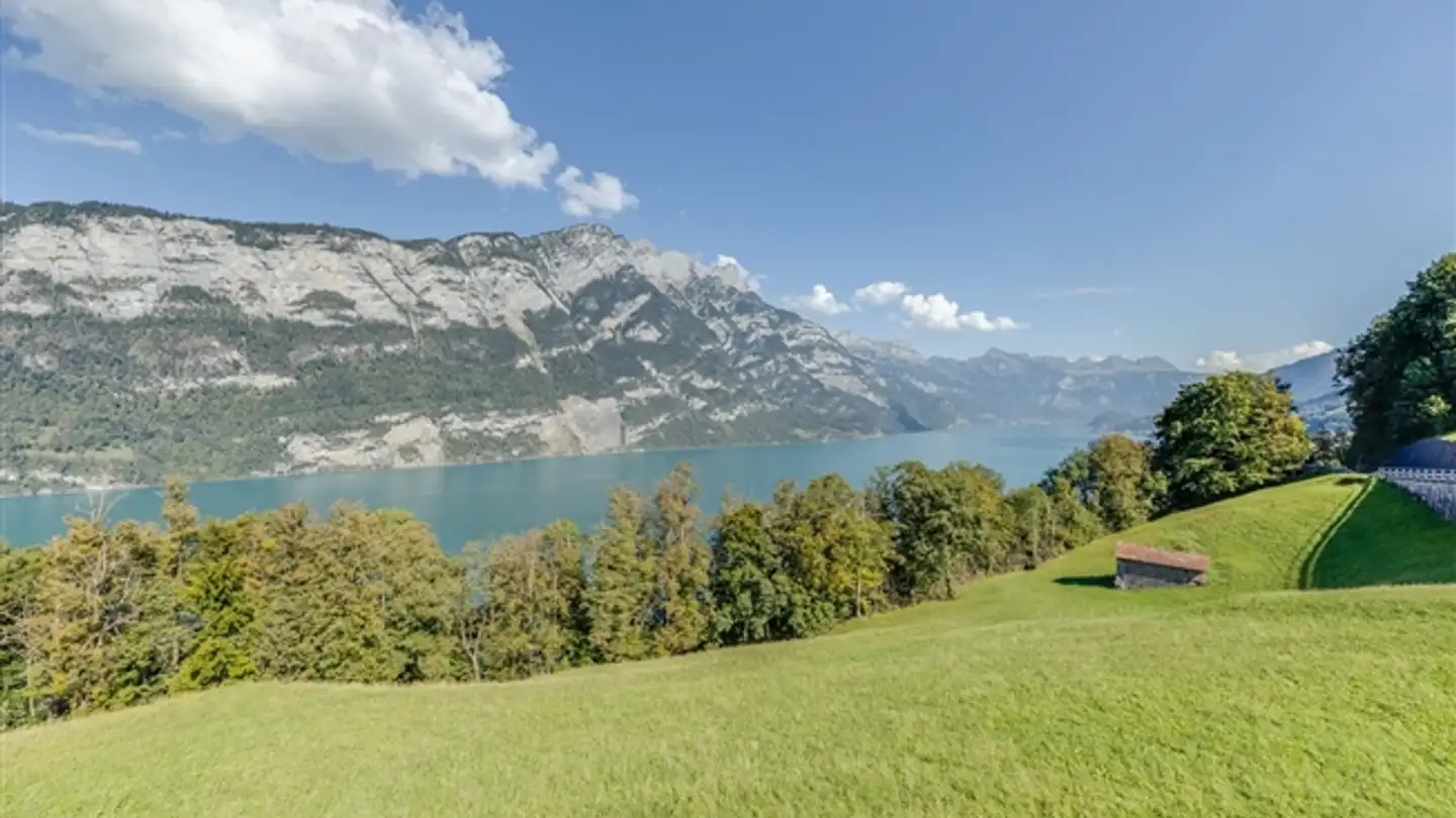 Maison individuelle à vendre - 8758 Obstalden