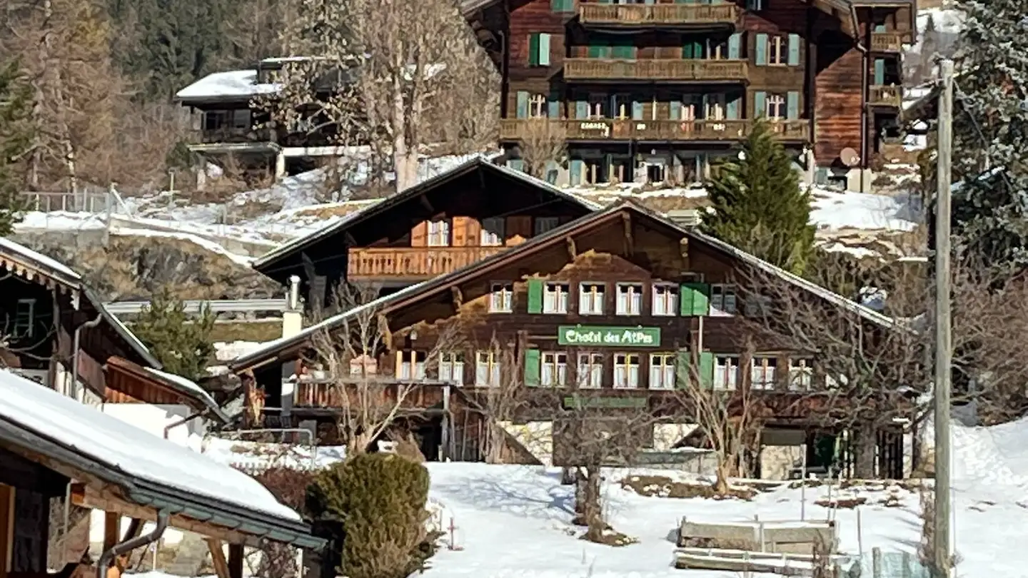Wohnung mieten - Route Du Pillon 96, 1865 Les Diablerets
