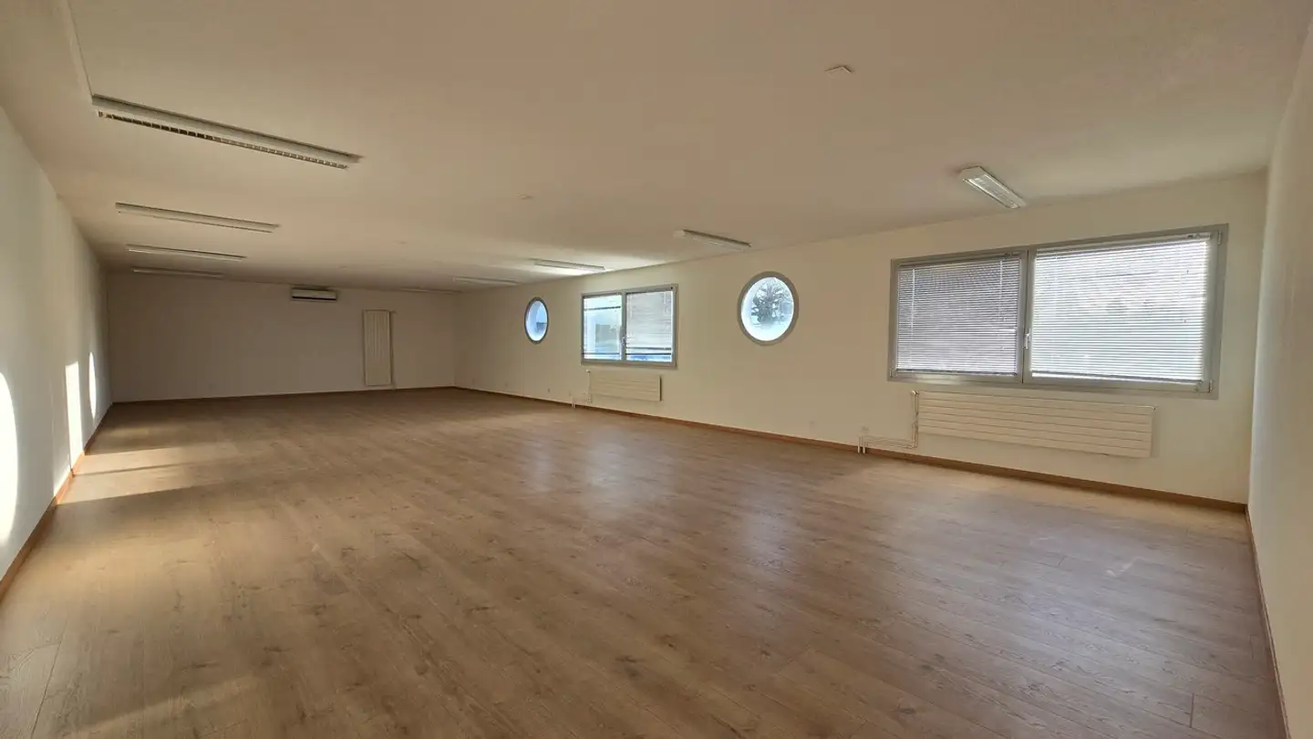 Werkstatt mieten - Chemin De Chatanerie 5, 1023 Crissier