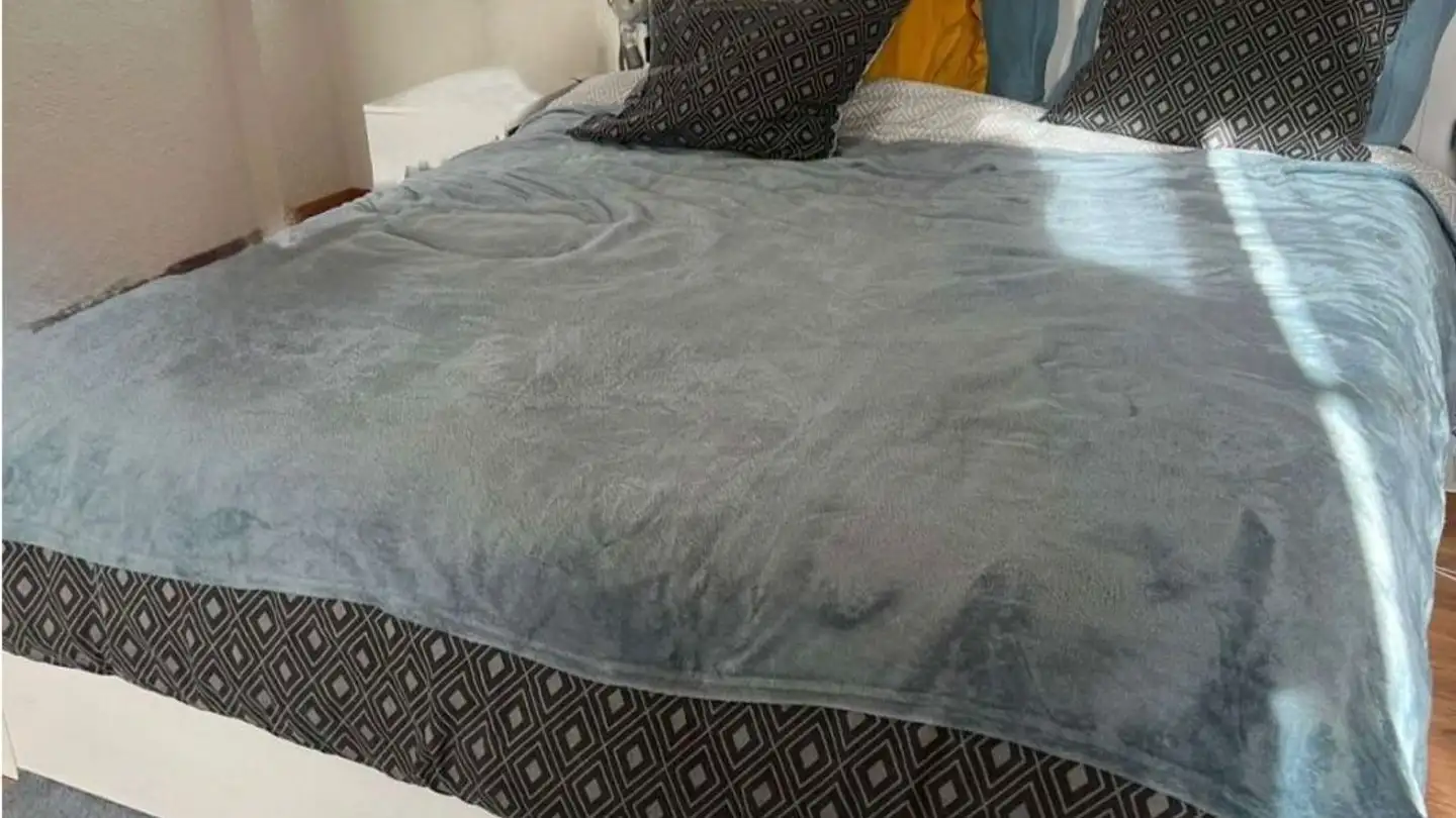 Appartamento in affitto - Rue De La Filature 37, 1227 Carouge GE