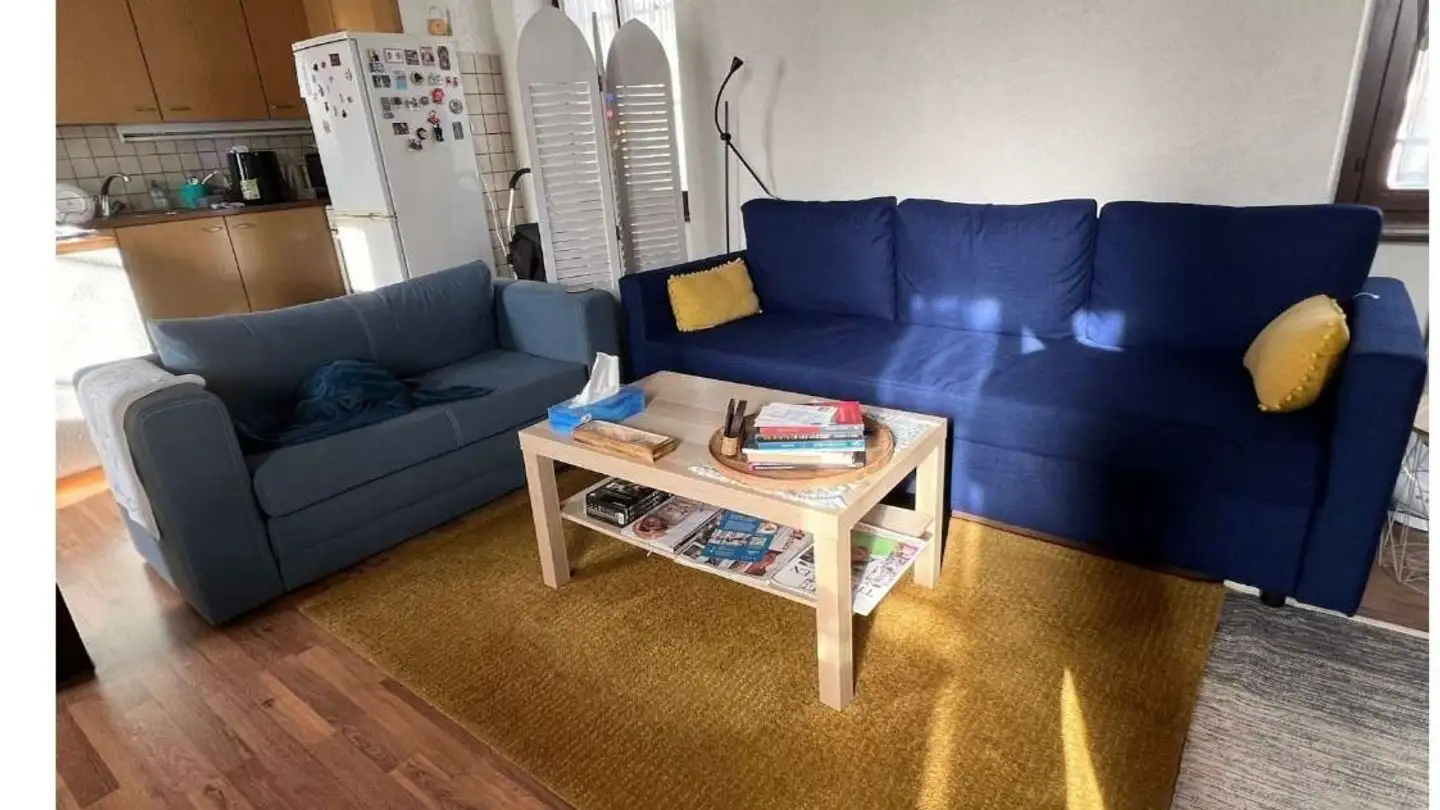 Appartamento in affitto - Rue De La Filature 37, 1227 Carouge GE - Photo 2