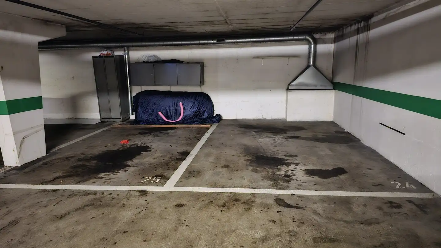 Parcheggio esterno in affitto - Käshaldenstrasse 3, 8052 Zürich