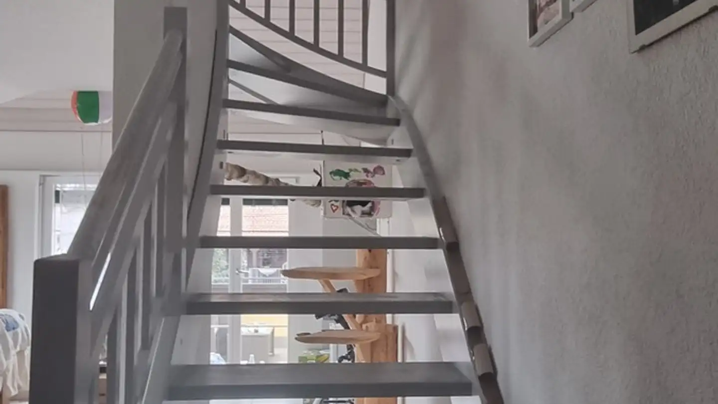 Wohnung mieten - Bremgarterstrasse 17, 5622 Waltenschwil - Foto 2