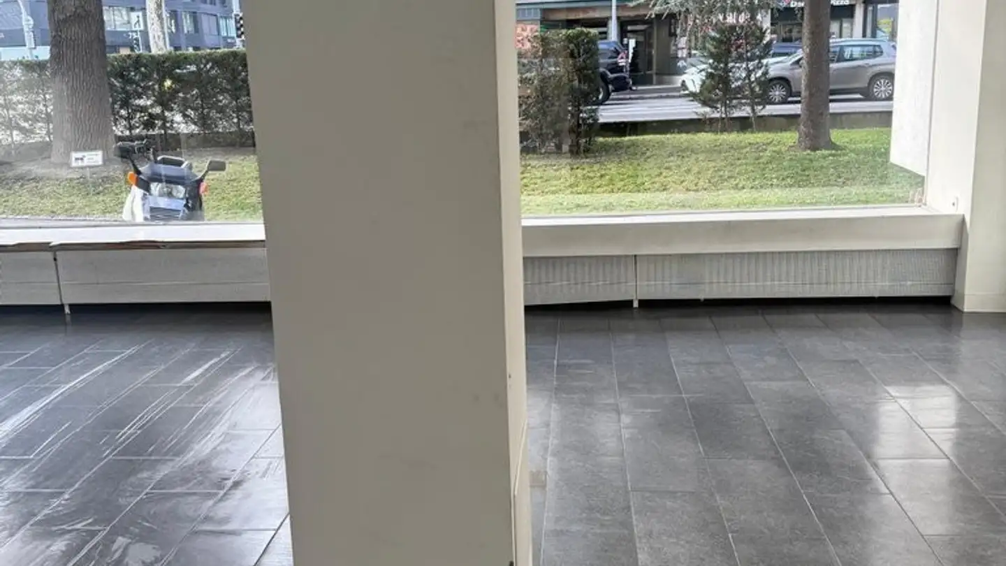 Magasin à louer - Rue De Lyon 74, 1203 Genève