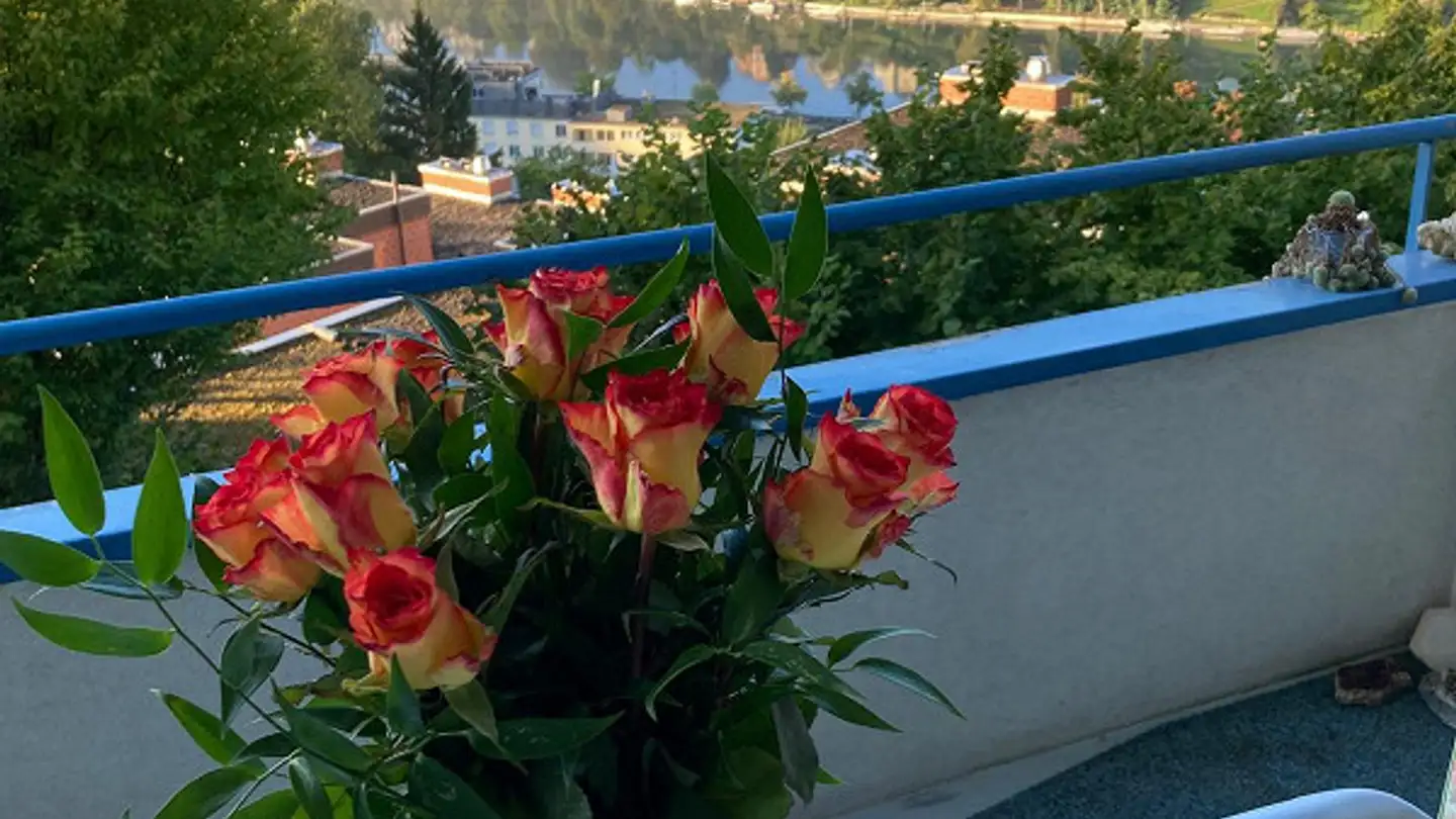 Appartamento in affitto - Rheingoldstrasse 6, 8200 Schaffhausen - Foto 2