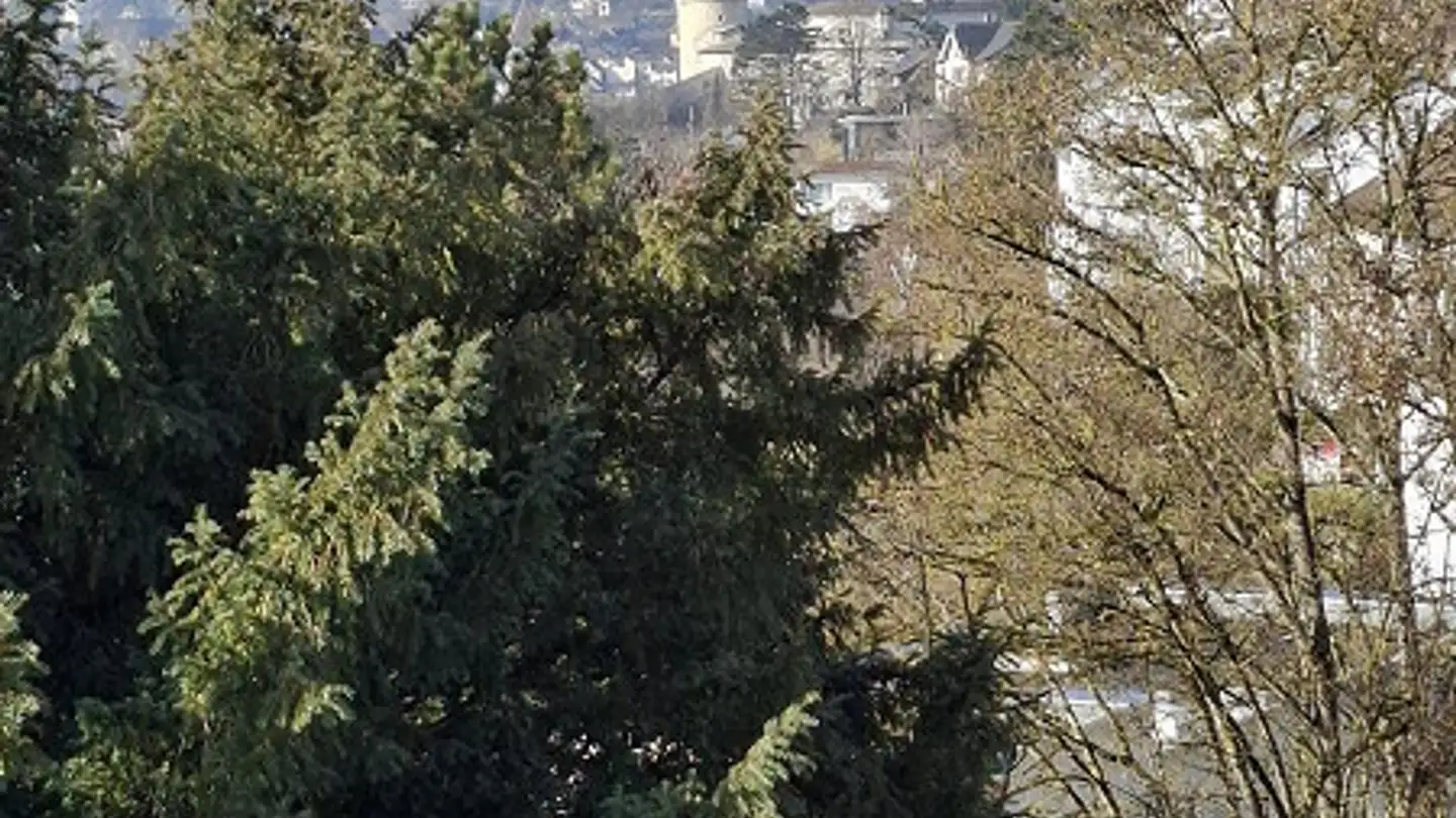 Appartamento in affitto - Rheingoldstrasse 6, 8200 Schaffhausen - Foto 3