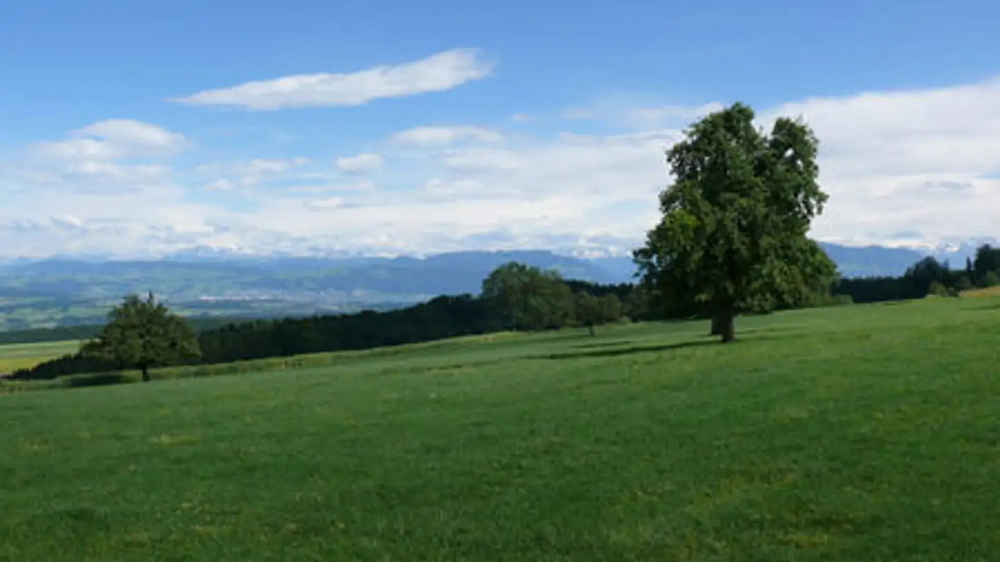 Restaurant for rent - 5637 Geltwil - Photo 3