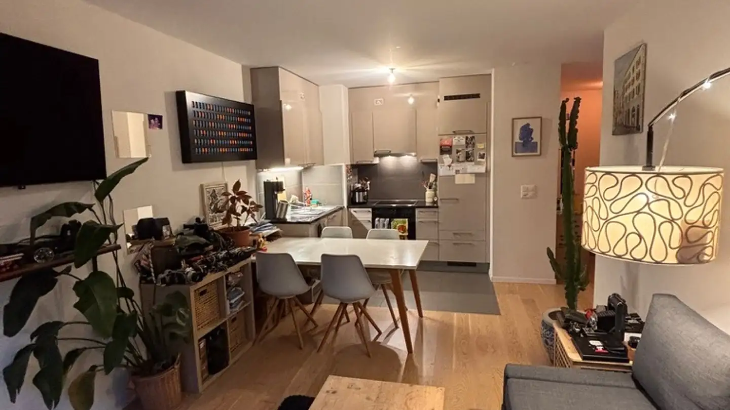 Appartamento in affitto - Avenue De Gilamont 44, 1800 Vevey
