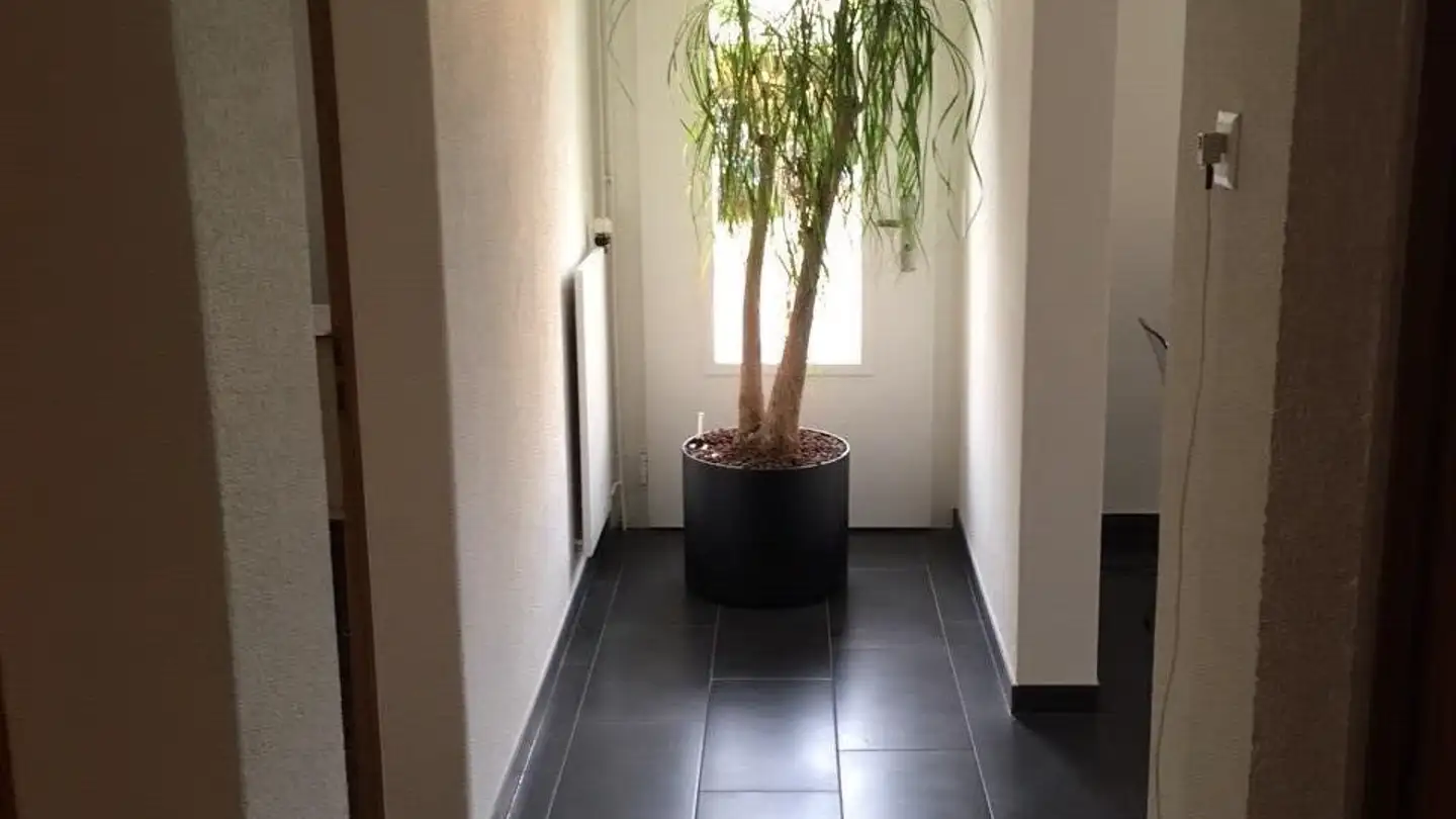 Wohnung mieten - Willadingenstrasse 32, 4565 Recherswil - Foto 4