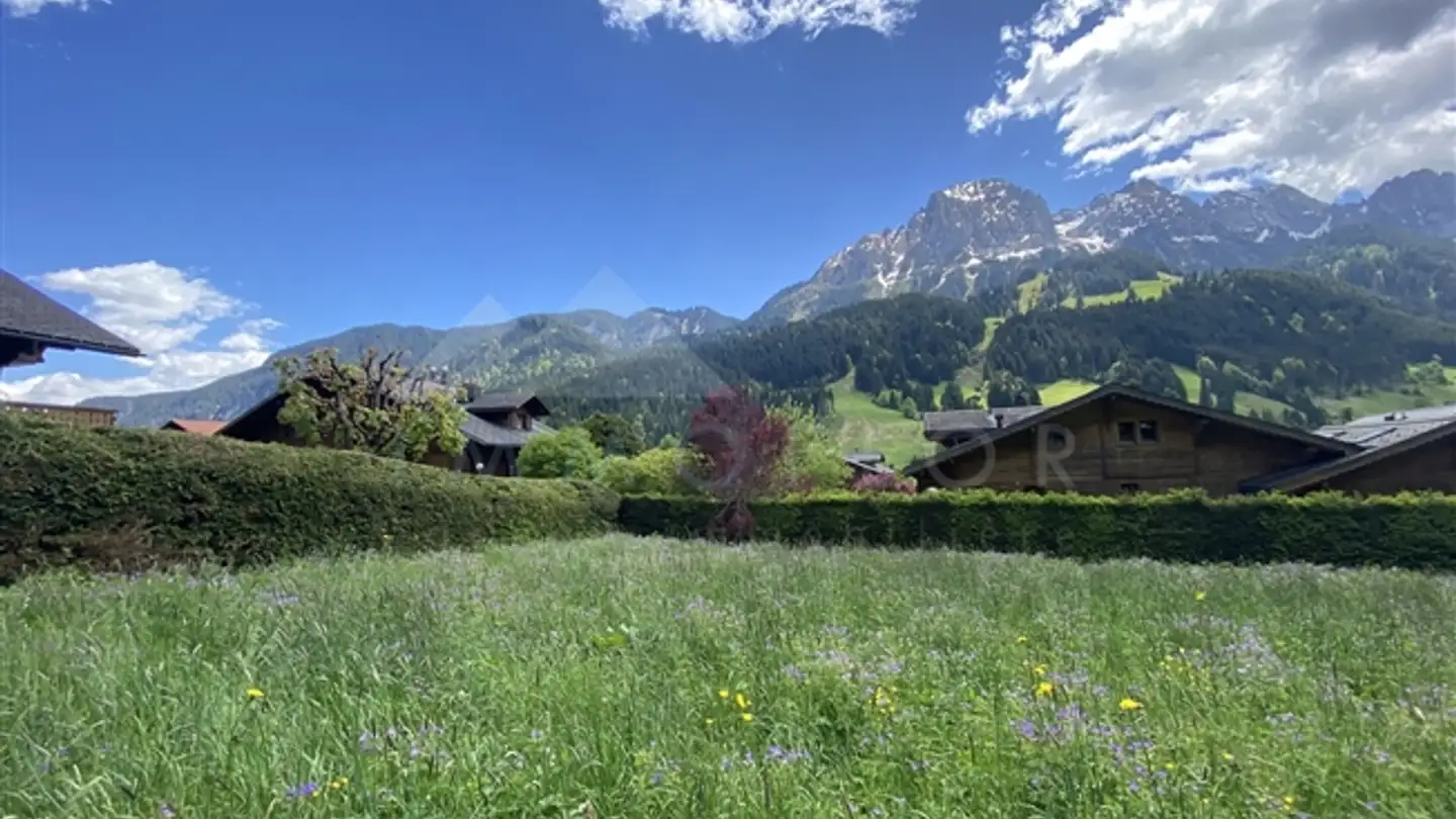 Appartement à vendre - Rue Du Village, 1659 Rougemont - Photo 2