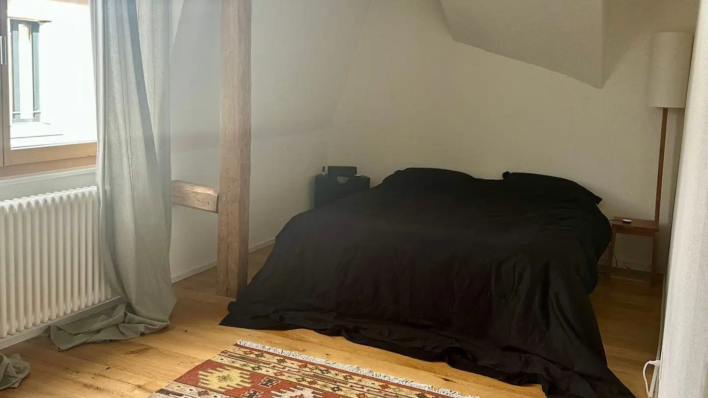 Duplex in affitto - Schönaustrasse 8, 8400 Winterthur - Photo 4