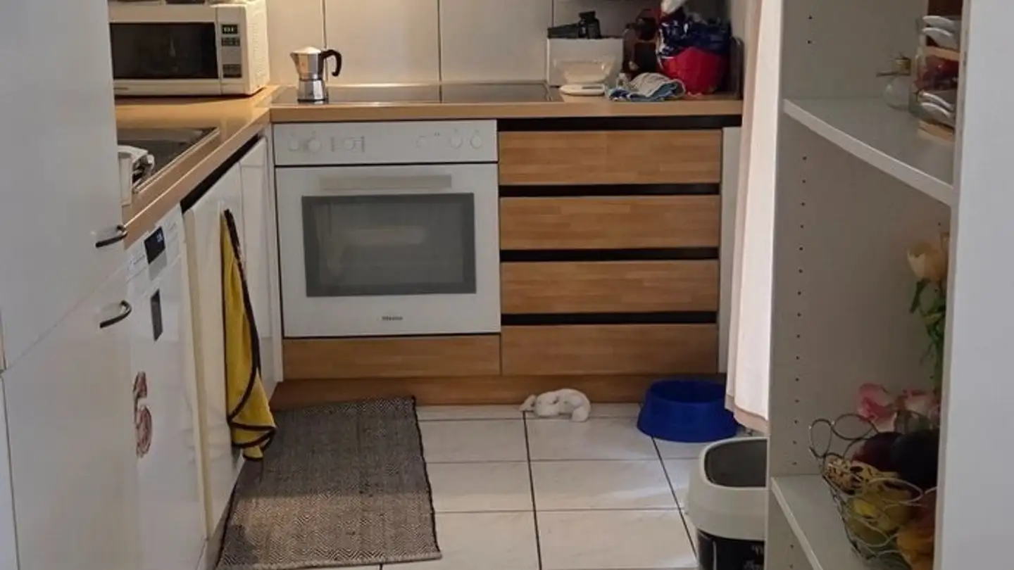 Appartement à louer - Via Guasto 3, 6818 Melano