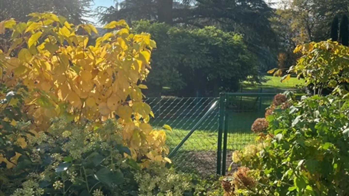 Apartment for rent - 1223 Cologny - Photo 4