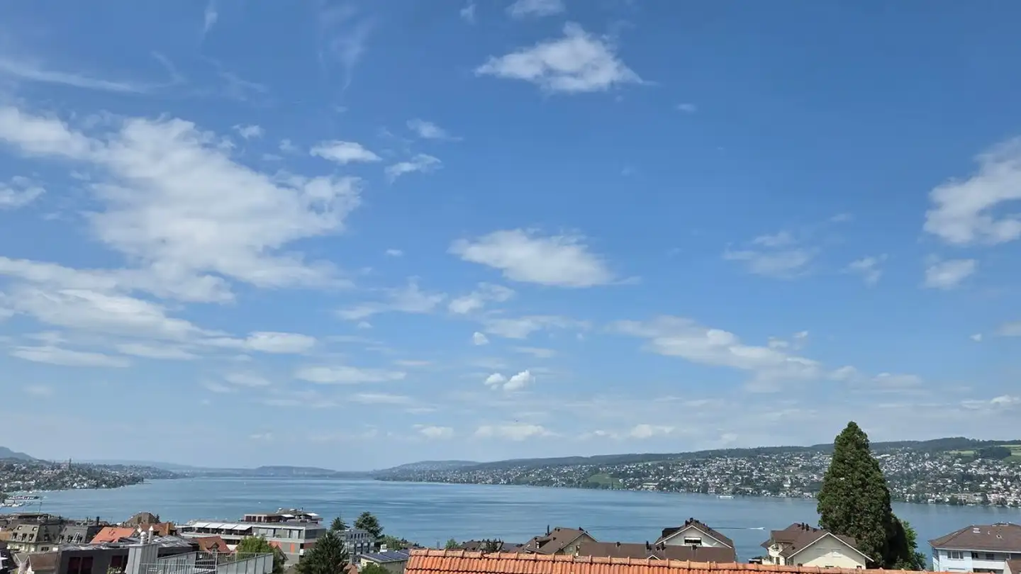 Duplex à louer - Zugerstrasse 95, 8810 Horgen