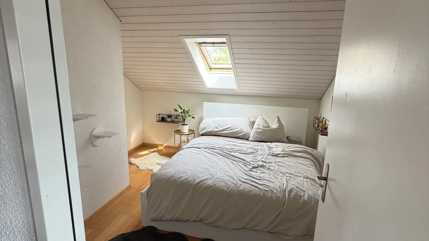 Wohnung mieten - 8706 Meilen
