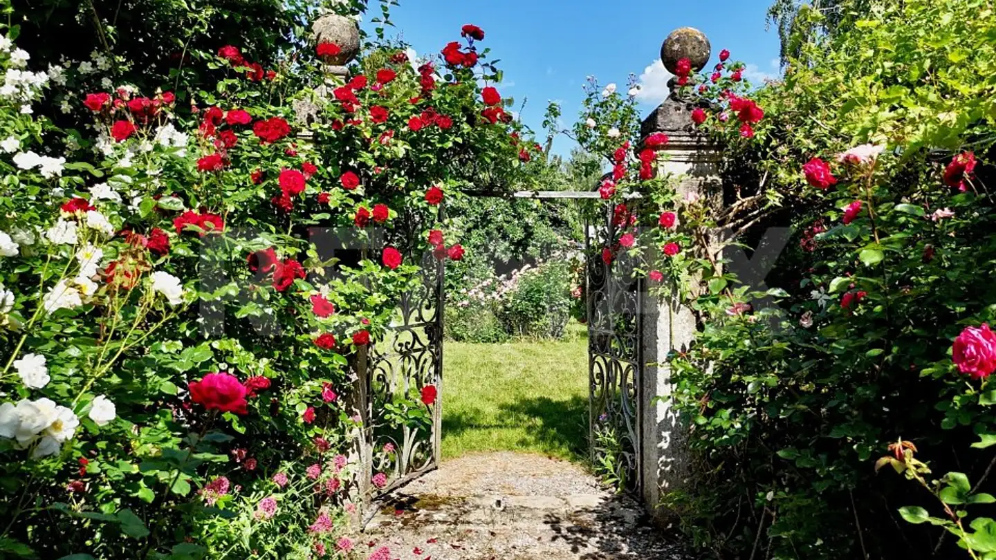 Einfamilienhaus kaufen - 1470 Estavayer-le-Lac - Foto 3