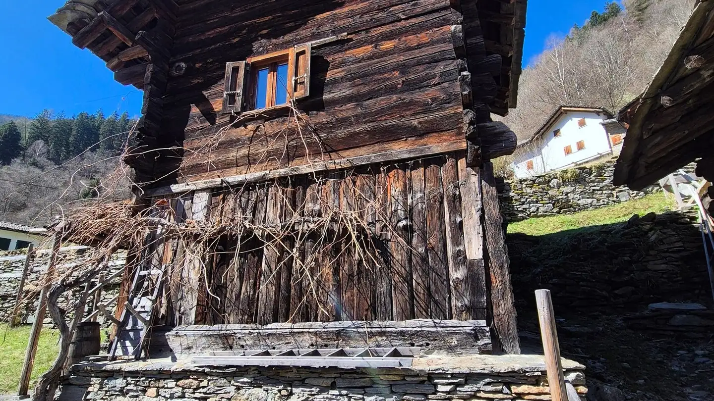 Appartamento in affitto - Via Cima Arvigo 26, 6543 Arvigo - Foto 3