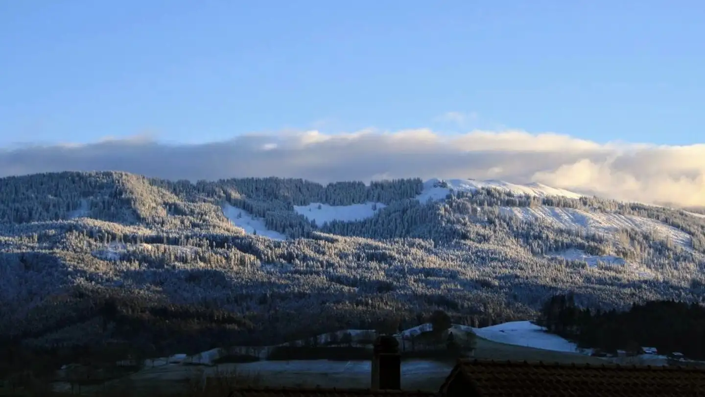 Chalet in vendita - Impasse Des Biches 22, 1724 Ferpicloz - Foto 2