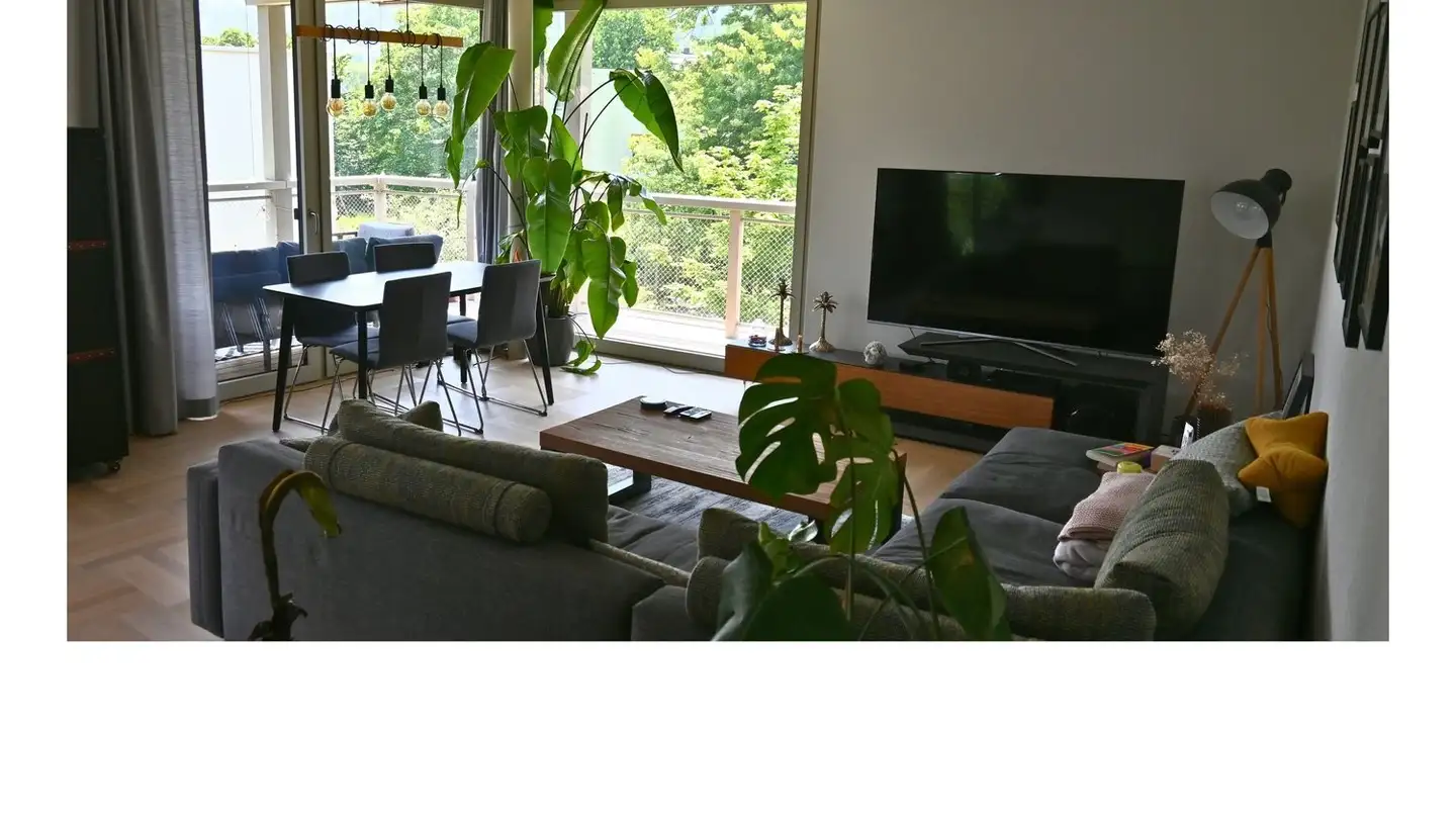 Furnished apartment for rent - 8800 Thalwil