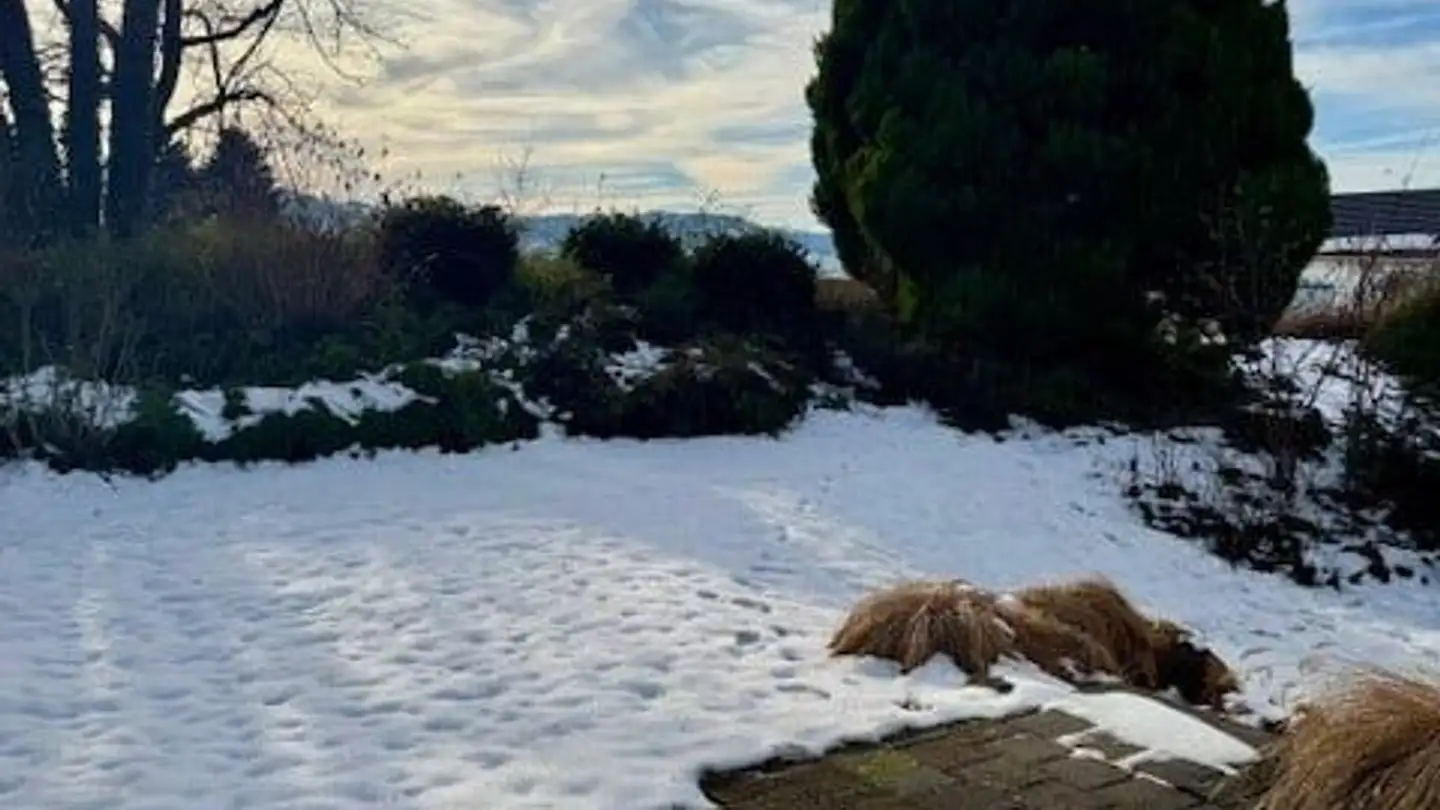 Maison jumelle à louer - Zürcherstrasse 172, 8645 Jona - Photo 4