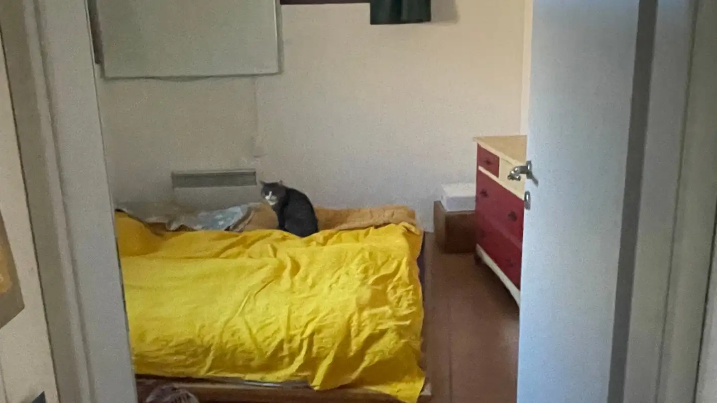 Casa singola in affitto - 6949 Comano - Photo 4