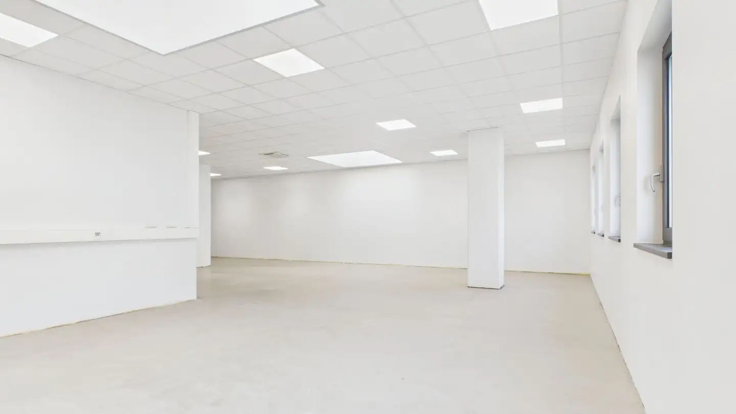 Office space for rent - Via Violino 1, 6928 Manno - Photo 3