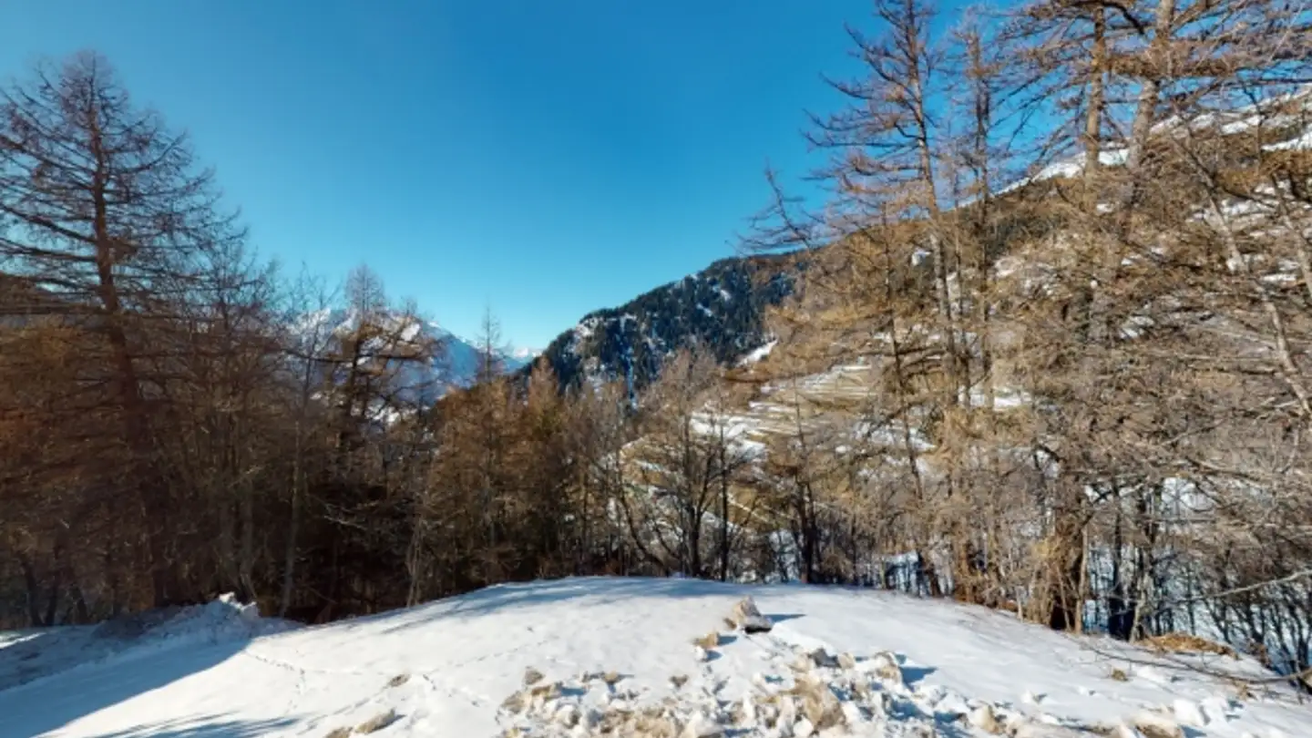 Terreno edificabile in vendita - 1936 Verbier - Photo 3