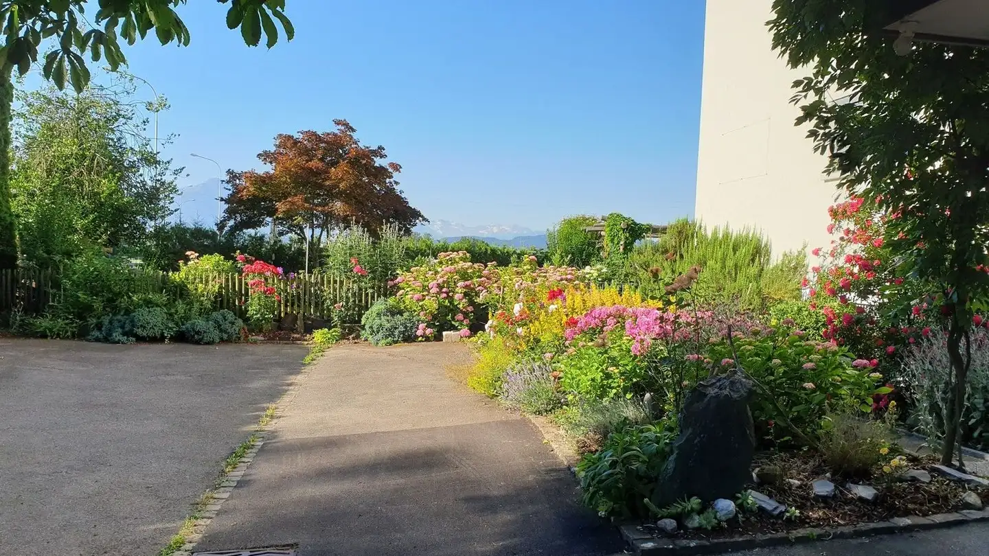 Apartment for rent - 6330 Cham - Photo 4