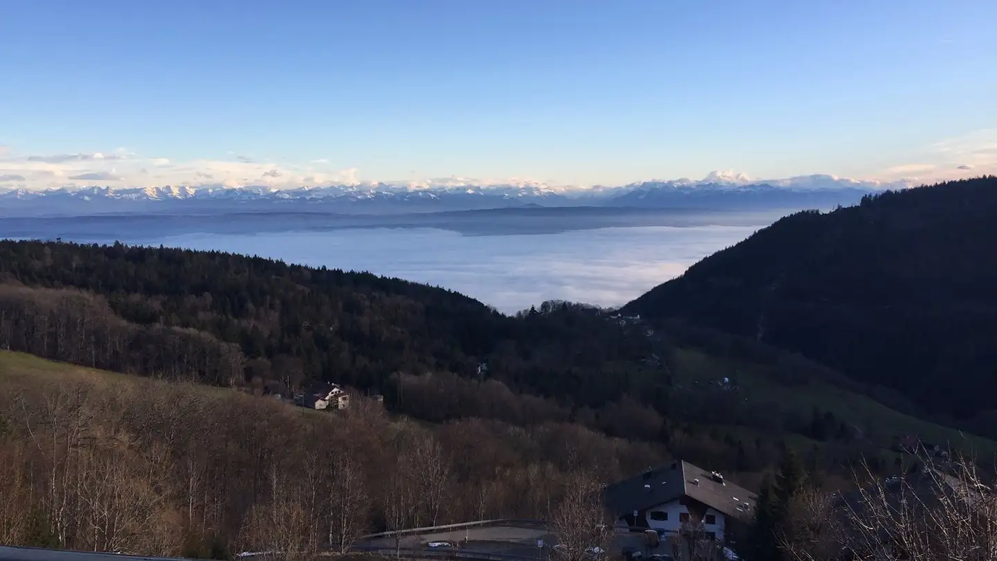 Appartamento in vendita - Chemin Du Belvédère 10, 1450 Ste-Croix - Photo 2