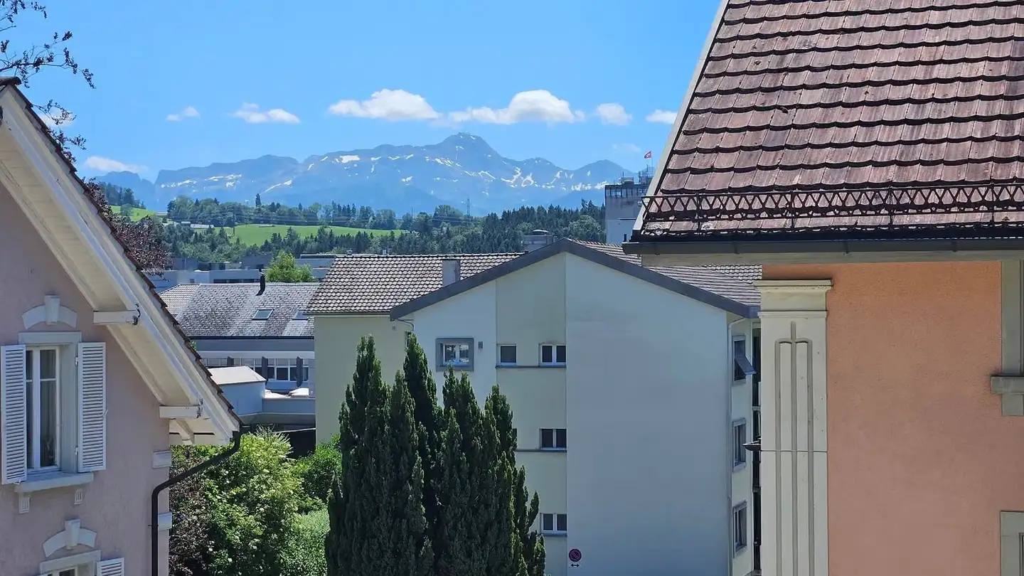Appartement à louer - Haldenstrasse 61, 9200 Gossau SG - Photo 3