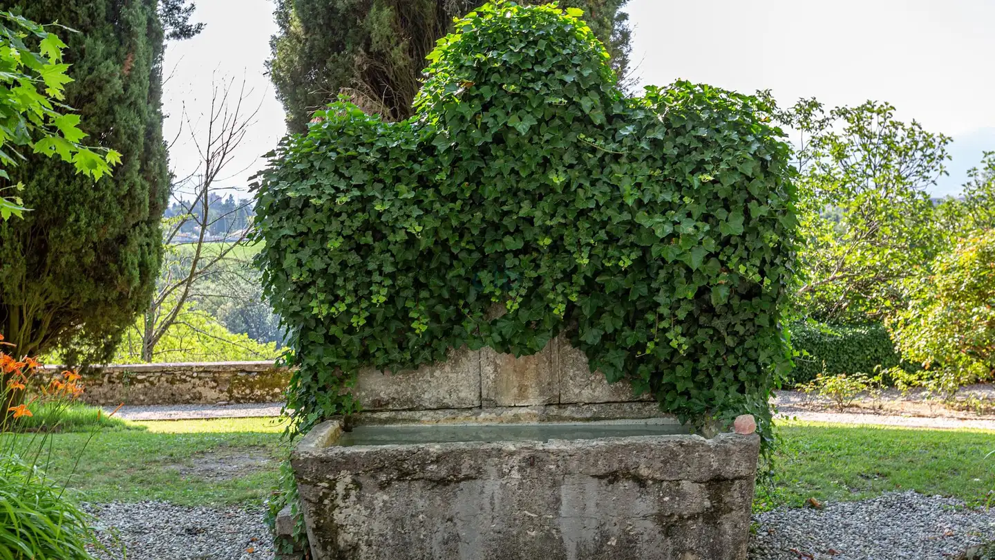 Maison individuelle à vendre - 1214 Vernier - Photo 4