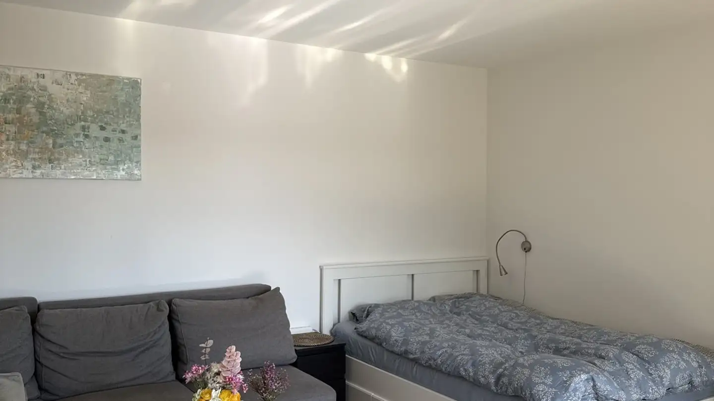 Apartment for rent - 8200 Schaffhausen - Photo 3