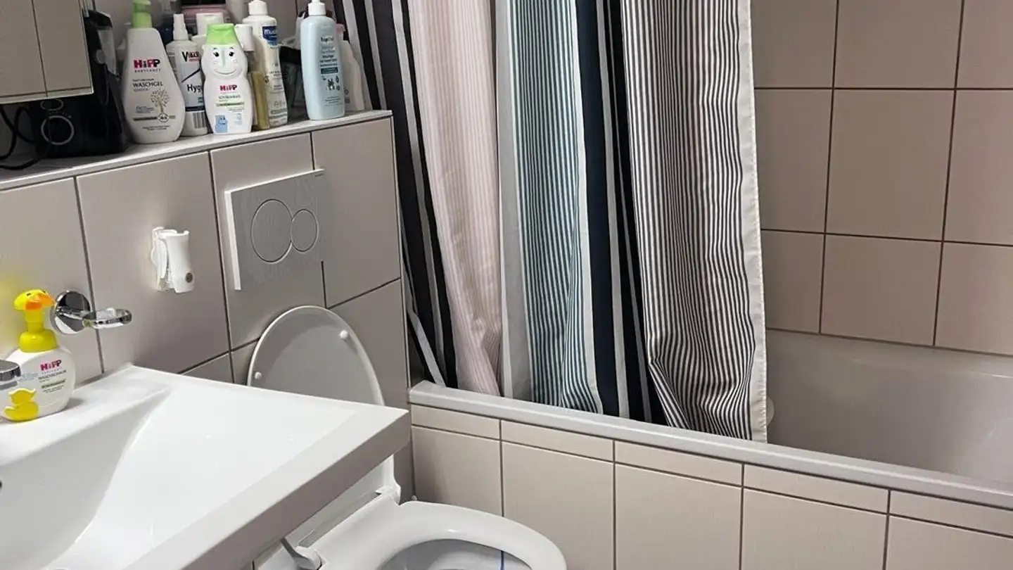 Appartamento in affitto - Untere Dorfstrasse 13, 8964 Rudolfstetten