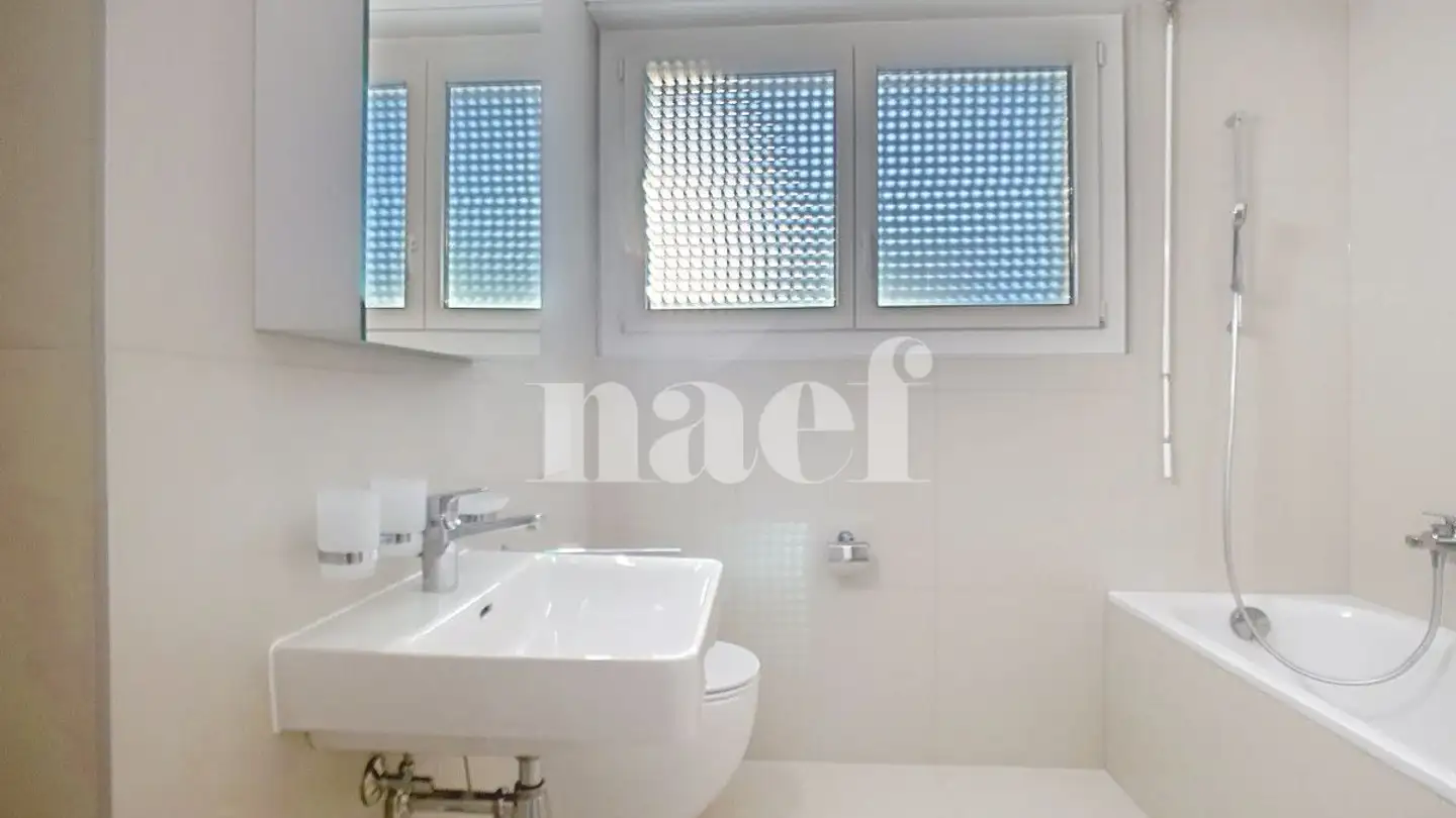 Appartamento in affitto - Chemin De La Fontanettaz 15, 1009 Pully