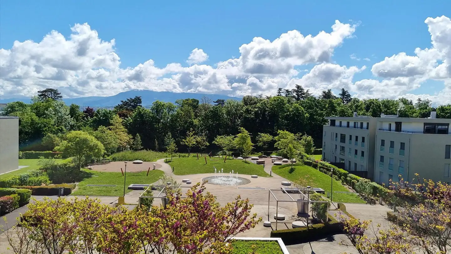 Appartamento in affitto - Chemin Des Cornillons 100, 1292 Chambésy