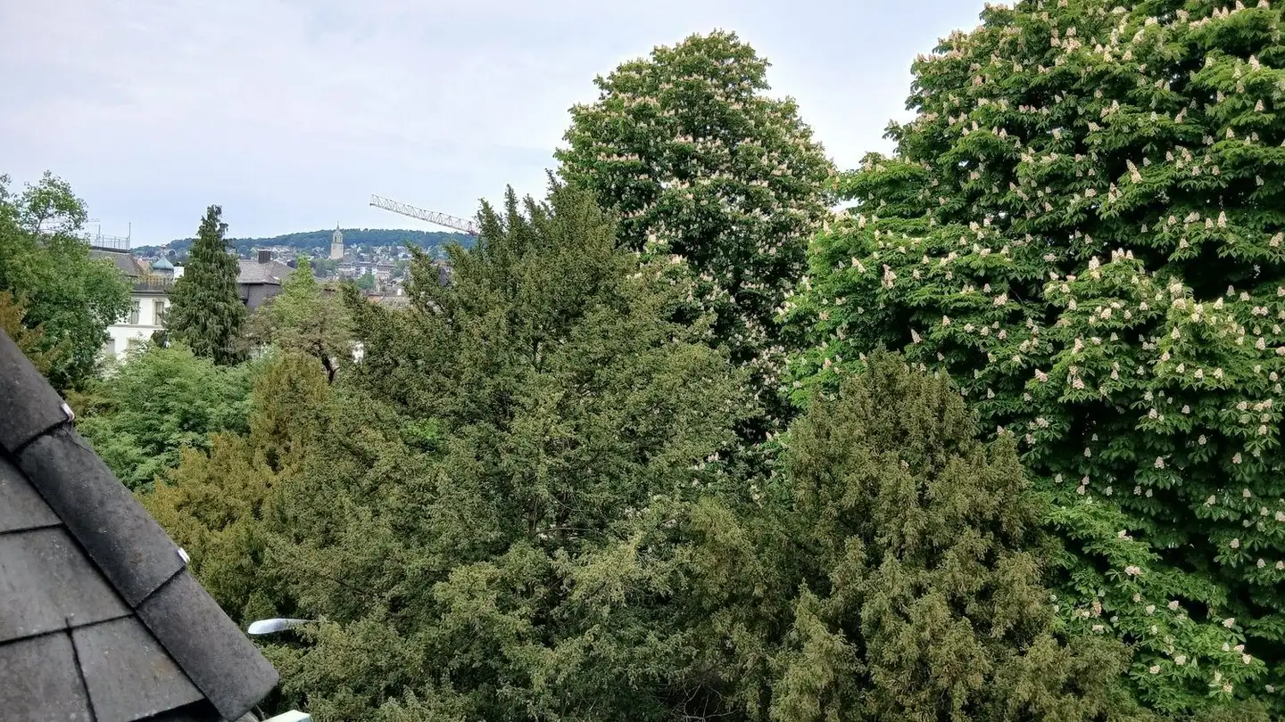 Attique à louer - Minervastrasse 46, 8032 Zürich - Photo 3