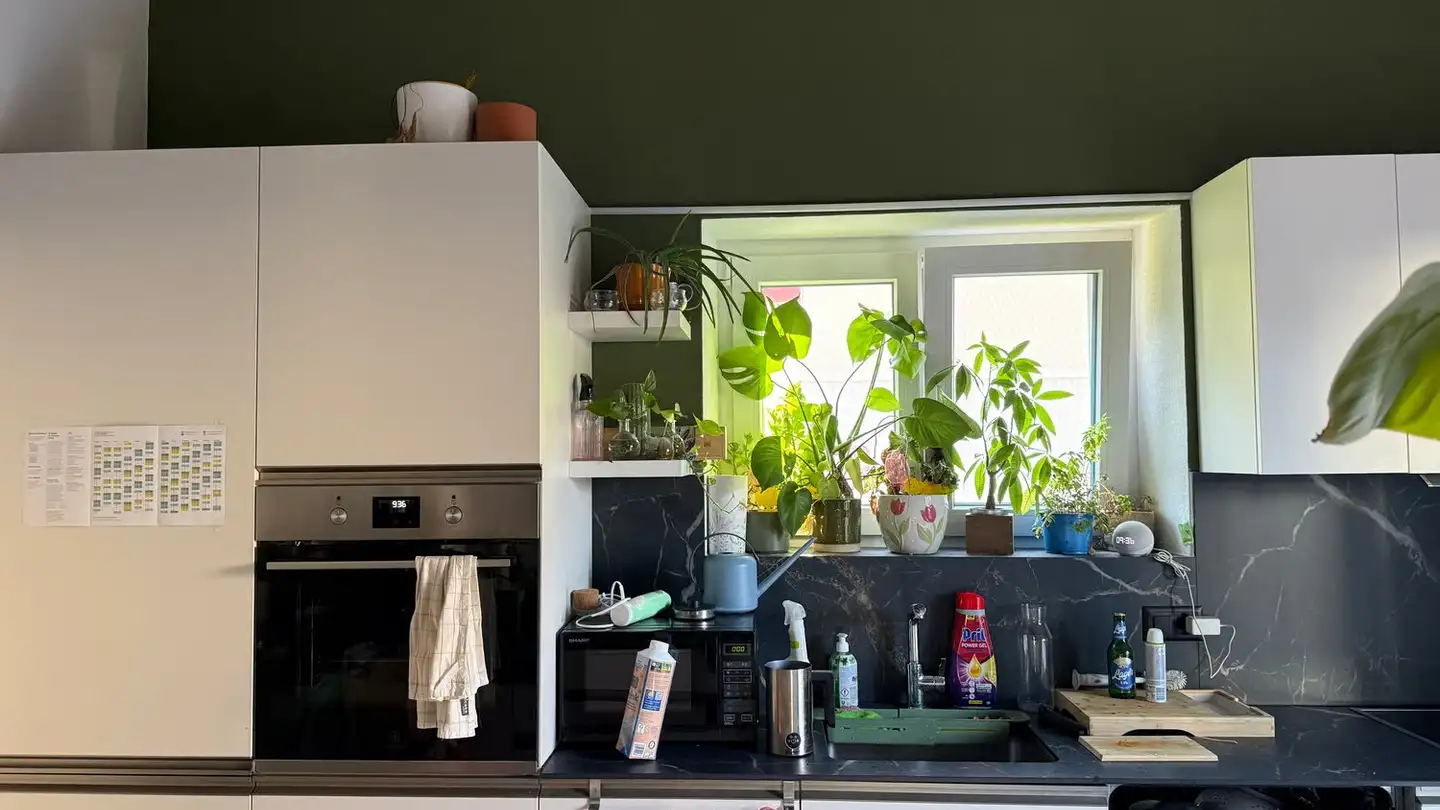Wohnung mieten - Via Convento 7, 6500 Bellinzona